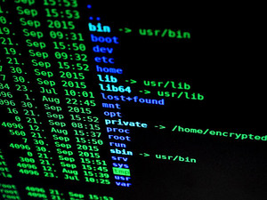 綠色信息科技的嶄新篇章 自然電子產(chǎn)品中的集成板處理器特寫